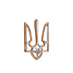 Золотая брошь  (01-200816001) фотография