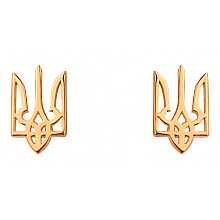 Золоті сережки (01-200539508) Золоті сережки (01-200539508)