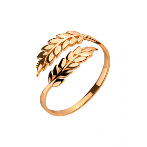 Золотое кольцо  (01-200331612) фотография