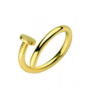 Золотое  кольцо  (01-200404821) фотография