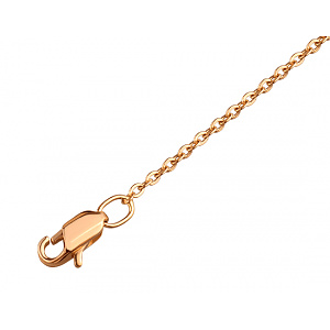 Золотая цепочка  (01-200606425) фотография