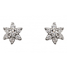 Золоті сережки  (2с-113)