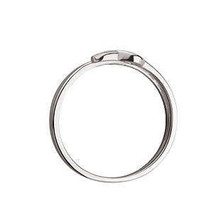 Золотое кольцо  (01-200447832) фотография