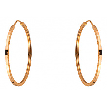 Золоті сережки  (01-200816042)