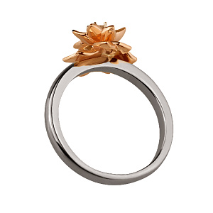 Золотое кольцо  (4б_к-122) фотография