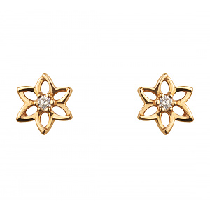 Золотые серьги  (1с-103) фотография