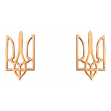 Золоті сережки  (01-200783657)