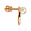 Золотые серьги с жемчугом 01-200841860 фотография 2