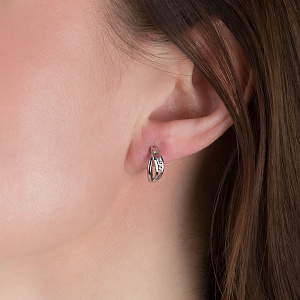 Золоті сережки з фіанітами (кубічним цирконієм) (2б_с-225) фотографія