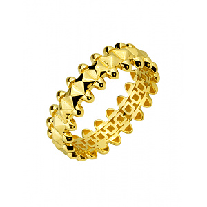 Золотое кольцо  (01-200838367) фотография