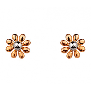 Золоті сережки  (01-200755470) фотографія