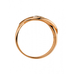 Золотое кольцо  (01-200602972) фотография