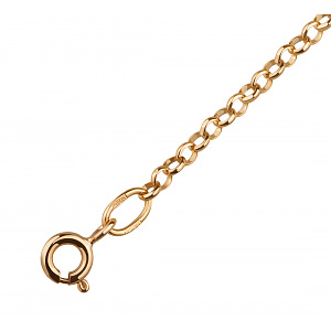 Золотая цепочка  (1ц095/00б) фотография