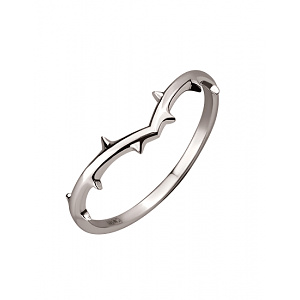 Золотое кольцо  (01-200781080) фотография