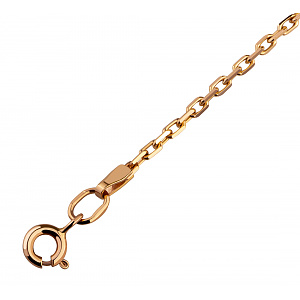 Золотая цепочка  (1ц086/00б) фотография