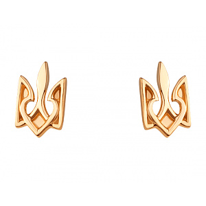 Золоті сережки  (01-200627491) фотографія