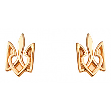 Золоті сережки  (01-200627491)