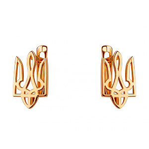 Золоті сережки  (01-200465993) фотографія