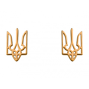 Золотые серьги  (01-200336394) фотография