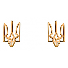 Золотые серьги (01-200336394) Золотые серьги (01-200336394)