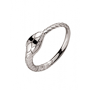 Золотое кольцо  (01-200492296) фотография