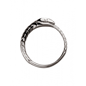 Золотое кольцо  (01-200492296) фотография